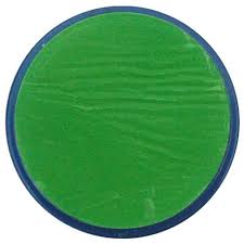 Snazaroo Bright Green 18g