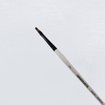 Daler Rowney Graduate Brushes