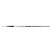 Daler Rowney Graduate Brushes
